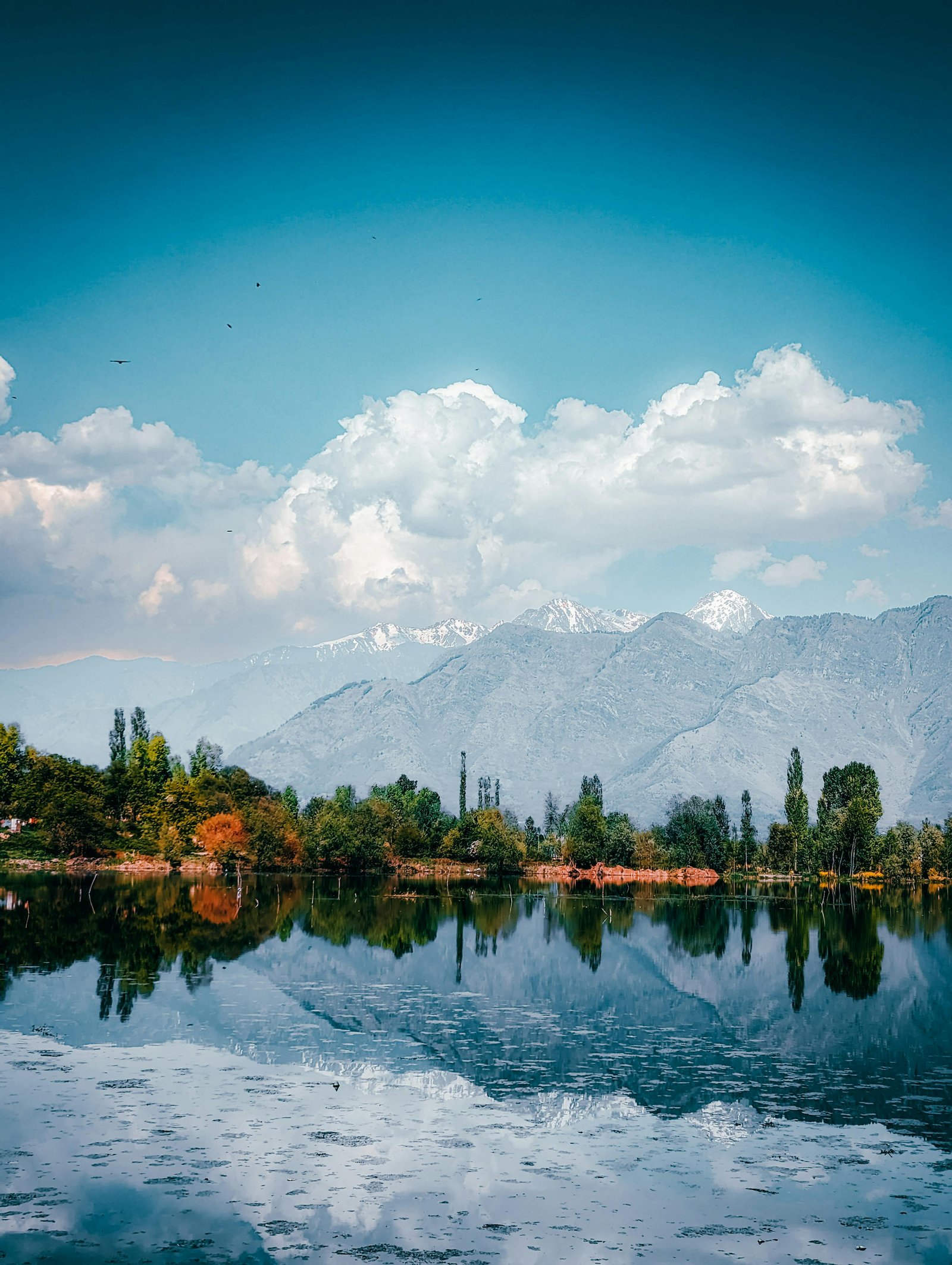 Kashmir bliss