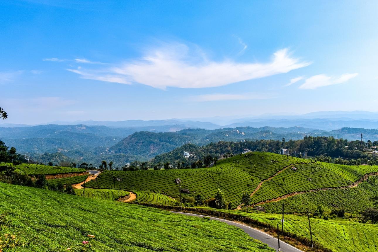 Kerala Green Hills & Wildlife Escape