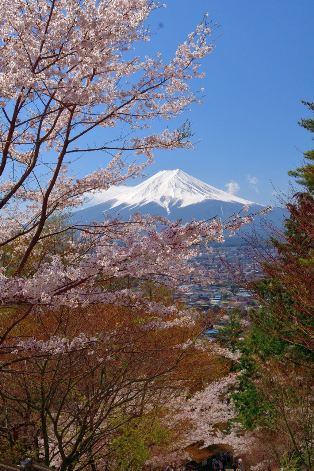 Japan Odyssey: Tokyo, Fuji, Kyoto & Hiroshima