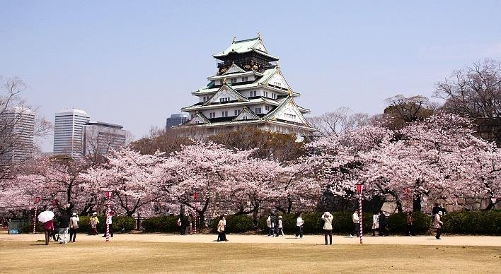 Japan Grand Discovery with Alpine Route