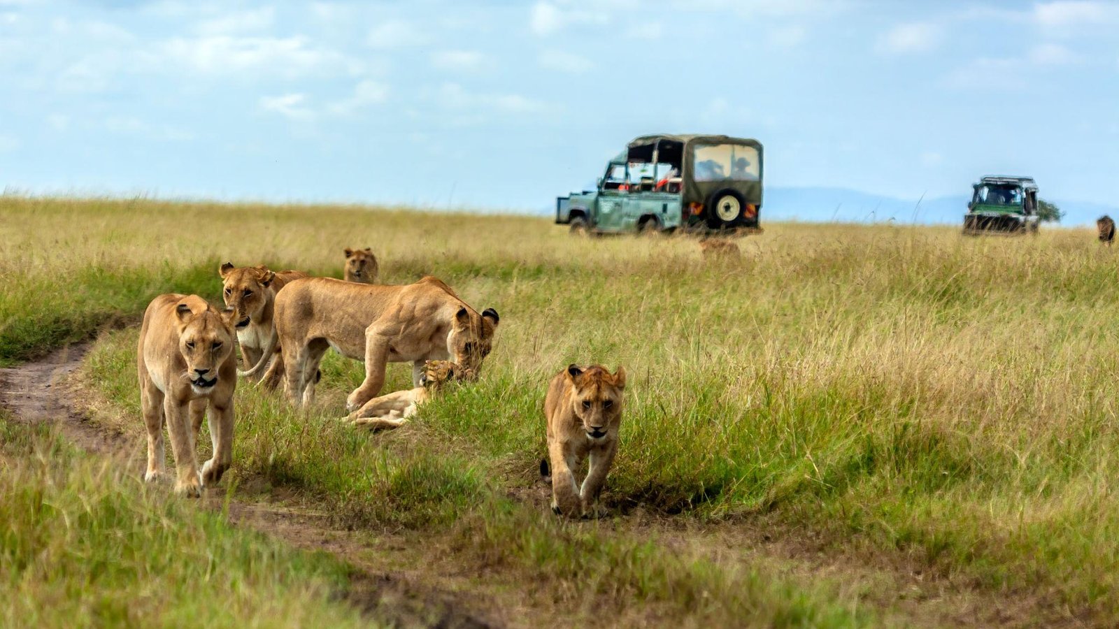 Kenya Classic Safari Escape