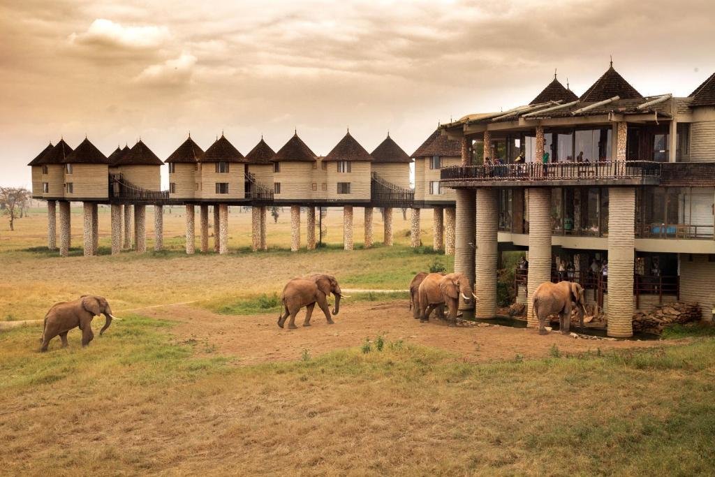 Kenya Wildlife Safari & Mombasa Beach Escape
