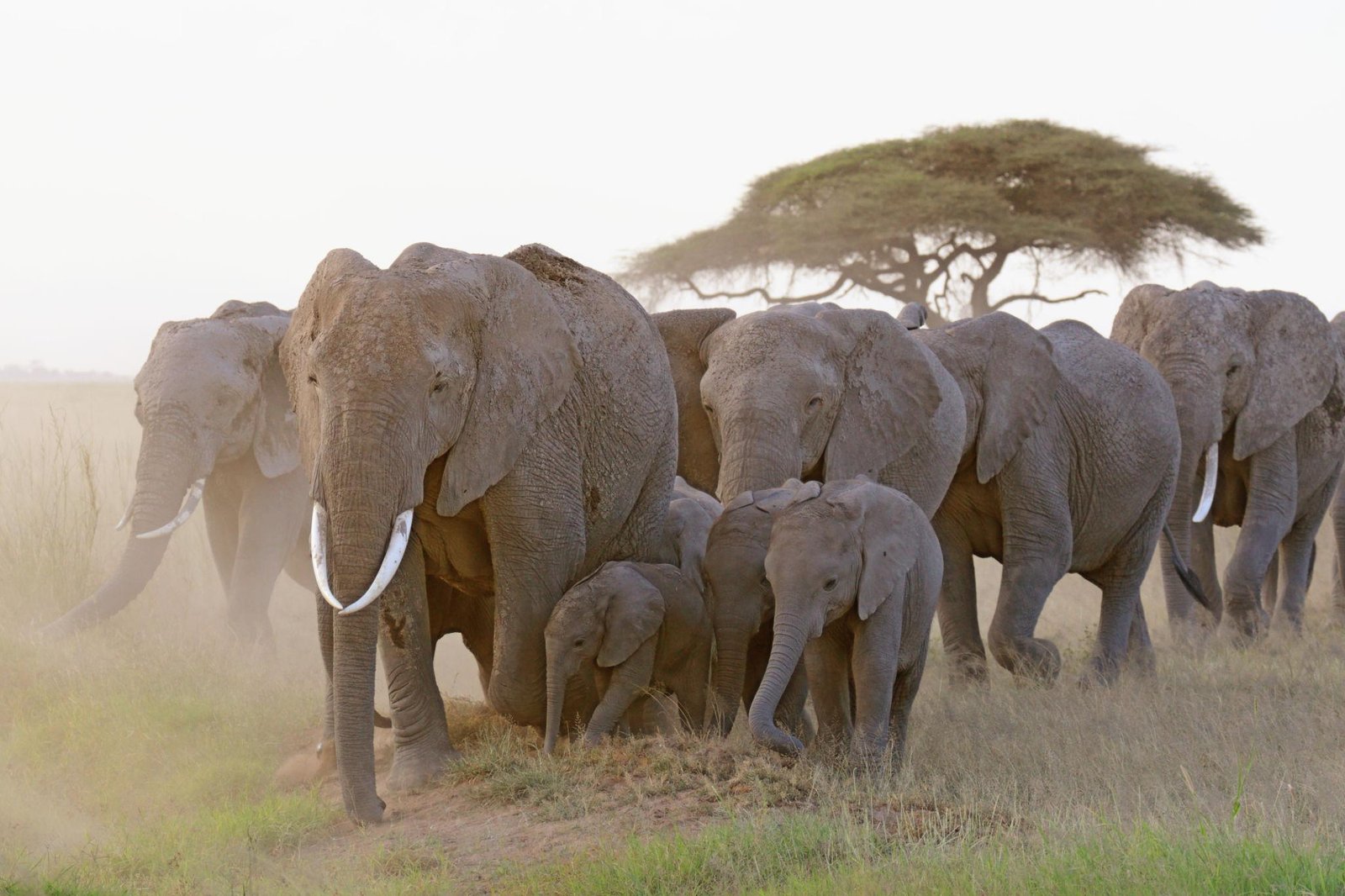 Kenya