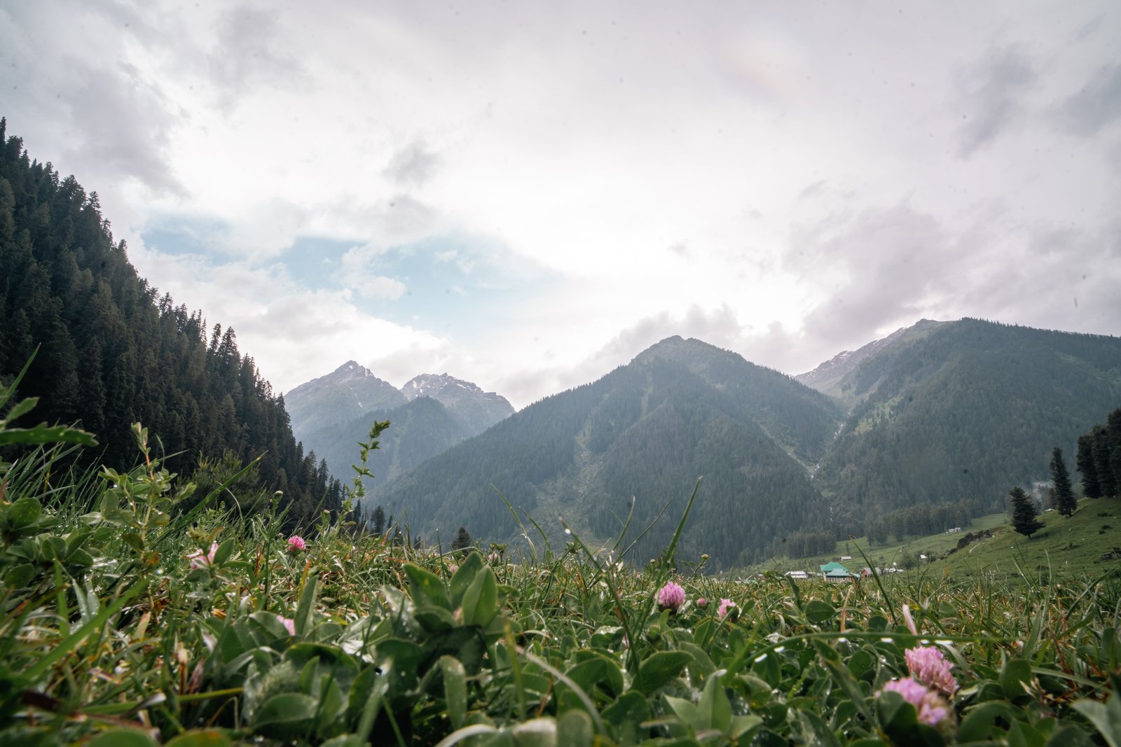Kashmir bliss 4N