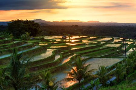 Unveil Bali’s Secrets: A Perfect Mix of Adventure and Tranquility