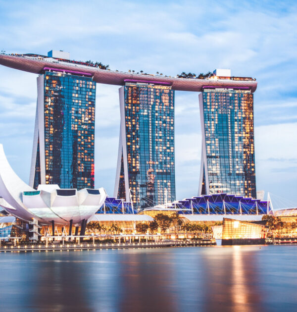 SightSeeingOLewcq (1)