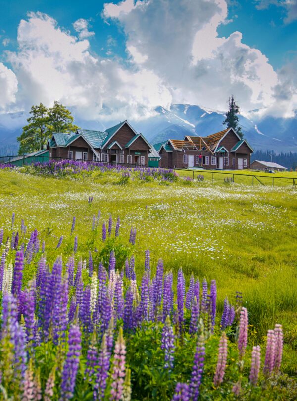 pexels-imadclicks-8627909