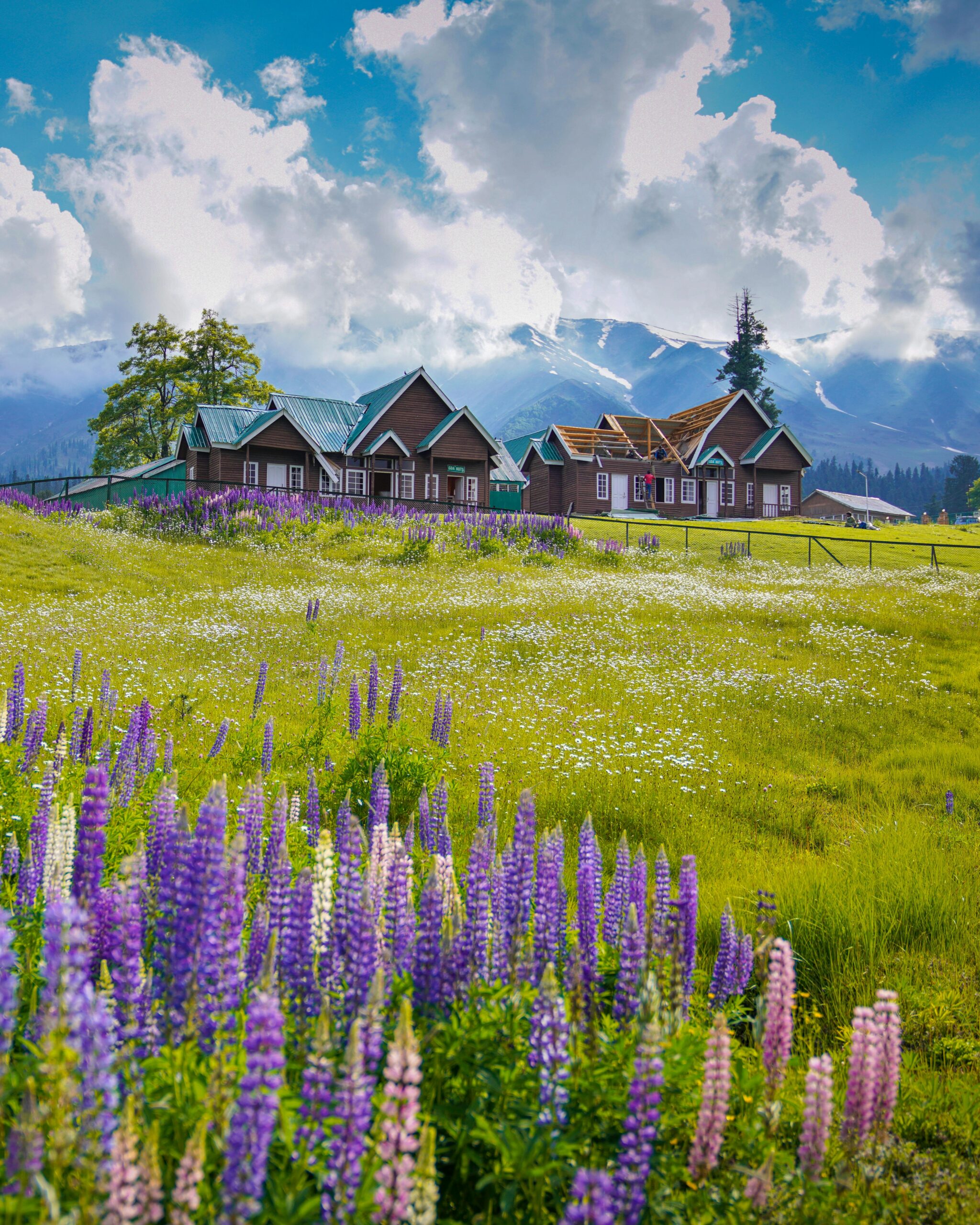 pexels-imadclicks-8627909