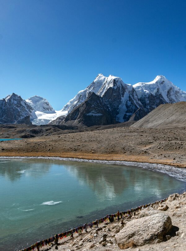 pexels-shubhankar-roy-217423980-20323309