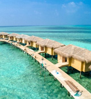 pexels-asadphoto-5785084