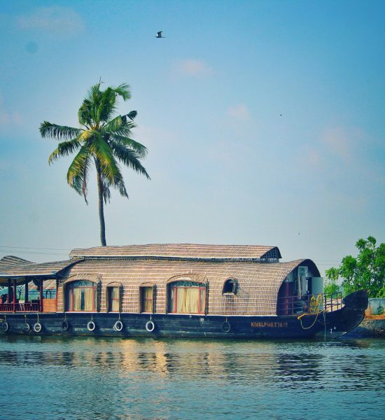 pexels-godson-bright-352845-962464 (1)