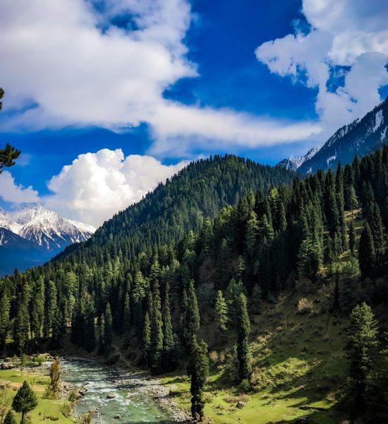 pexels-sam-clickx-24038849-16627001