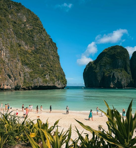 pexels-samma97-32647730